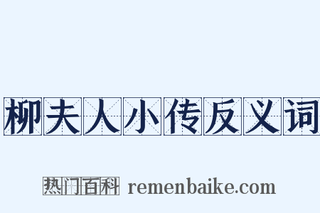 柳夫人小传反义词是什么意思的图片